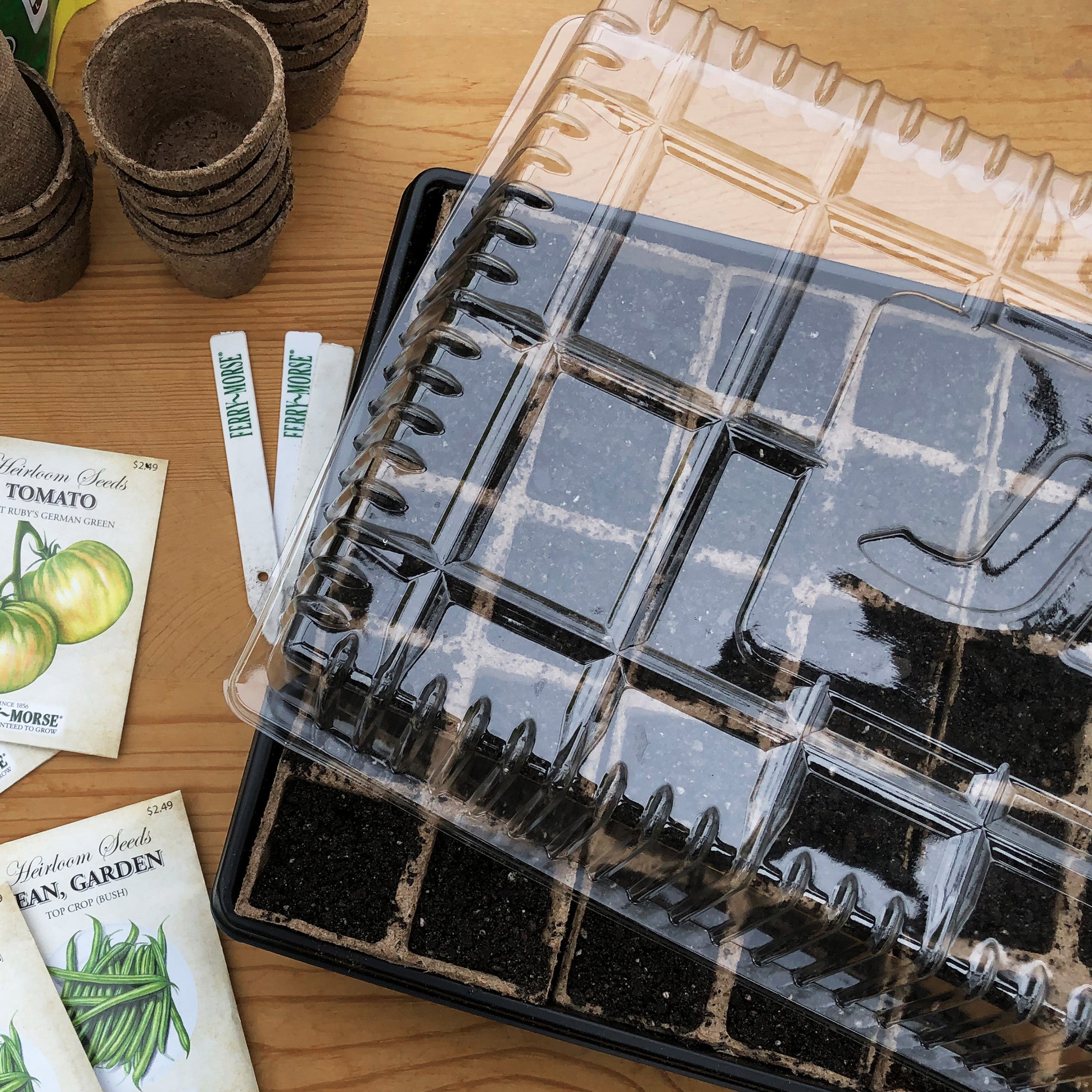 Seed Starting Gro-Dome which is Jiffys clear plastic re-usable humidity dome in use on a Jiffy plant tray filled with peat strips. Sitting next to Heirloom Tomato seeds and 2" Jiffy peat pots and Ferry-Morse plant markers.